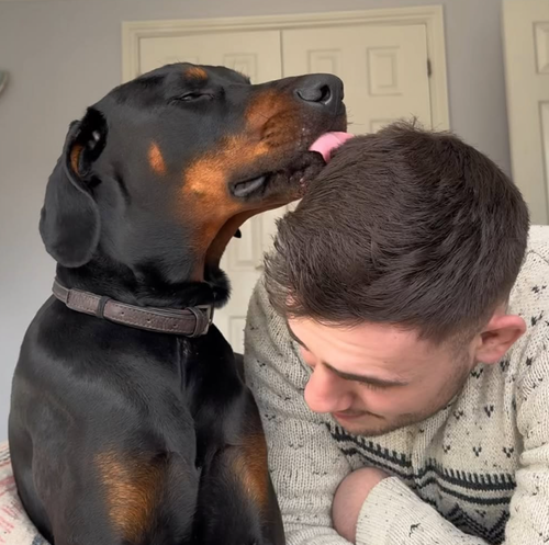 Instagram post by @dentalfreshpets