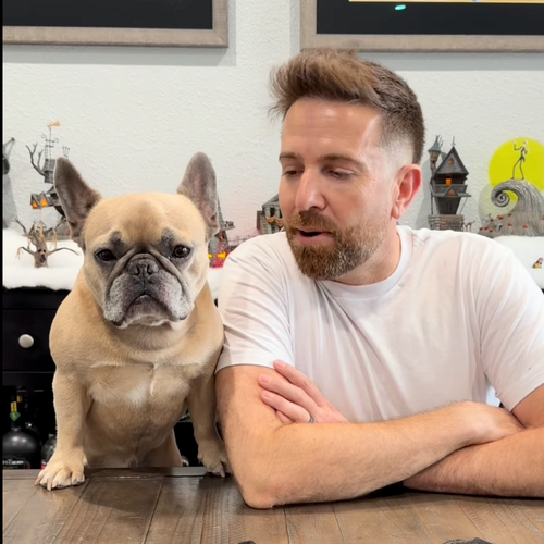 Instagram post by @dentalfreshpets